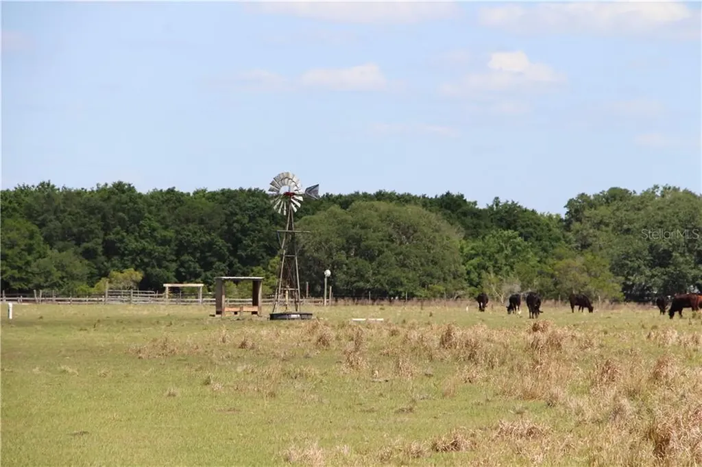 1712 SW Koch Road Arcadia FL 34266