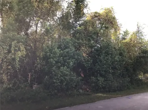 2126 El Campo Avenue Deltona FL 32725