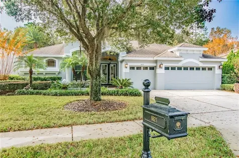 6621 Thornton Palms Drive Tampa FL 33647