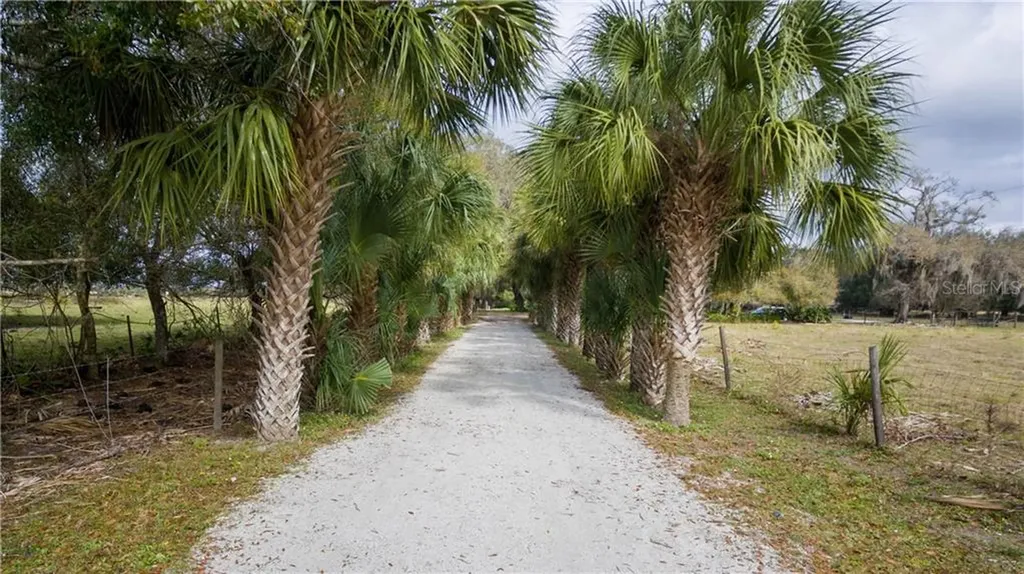 2980 SW Beard Street Arcadia FL 34266