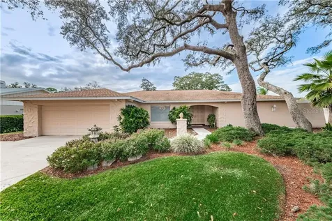5022 Chattam Lane Tampa FL 33624