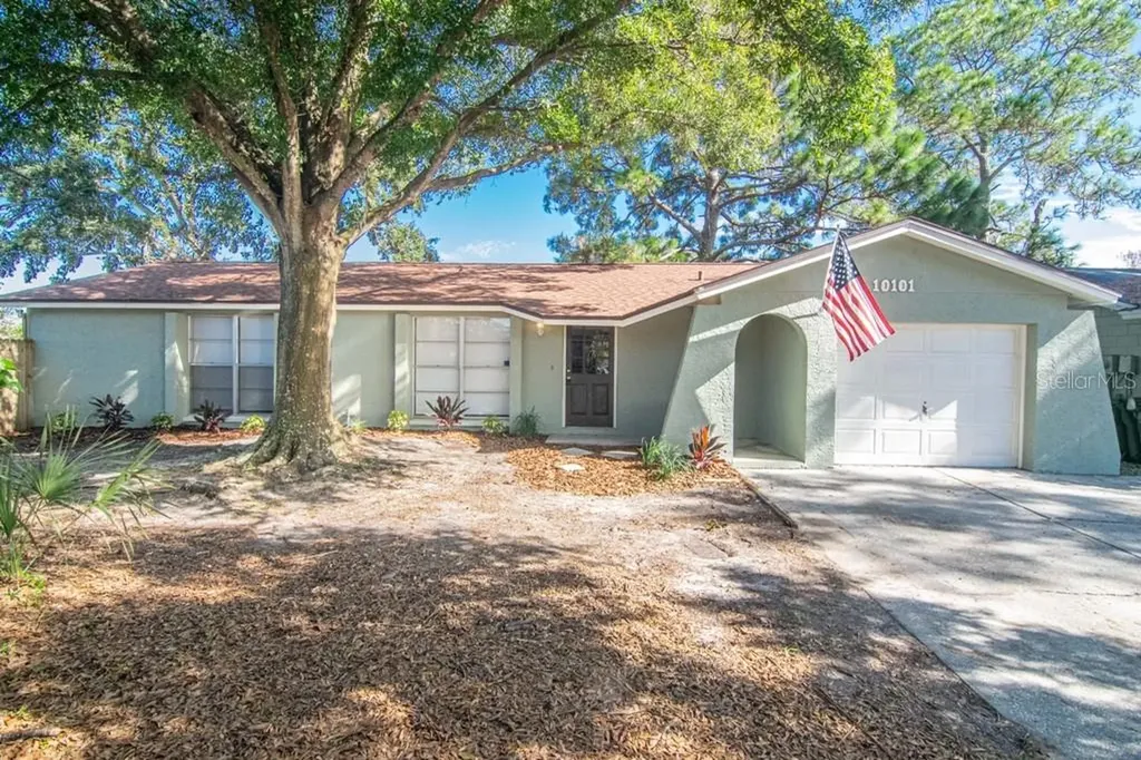 10101 Tallwood Court Tampa FL 33615