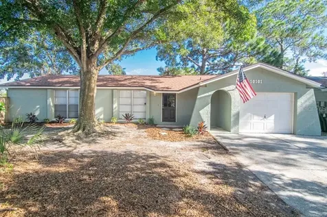 10101 Tallwood Court Tampa FL 33615