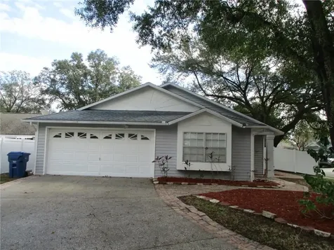 1729 Tinsmith Circle Lutz FL 33559