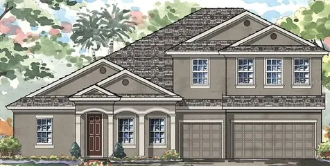 3024 Silva Wood Drive Valrico FL 33596