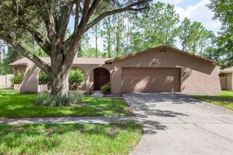 4208 Briarberry Lane Tampa FL 33624