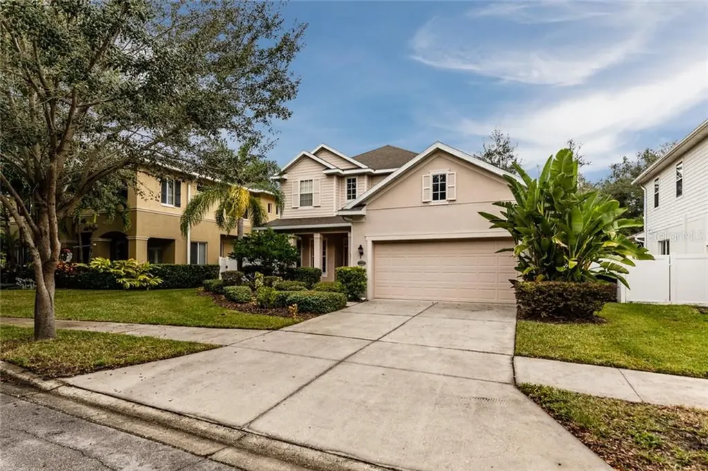 3223 Park Green Drive Tampa FL 33611