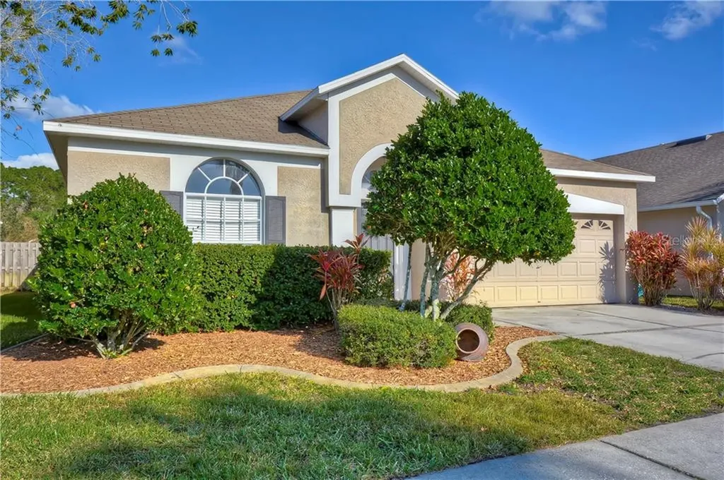 14341 Moon Flower Drive Tampa FL 33626