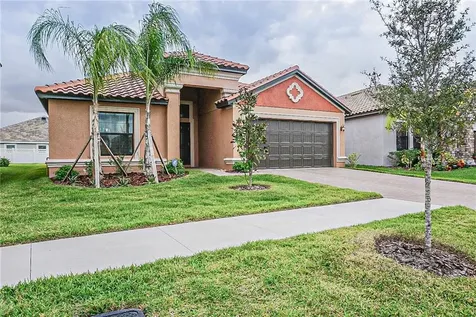 12045 Cardinal Flower Drive Riverview FL 33579