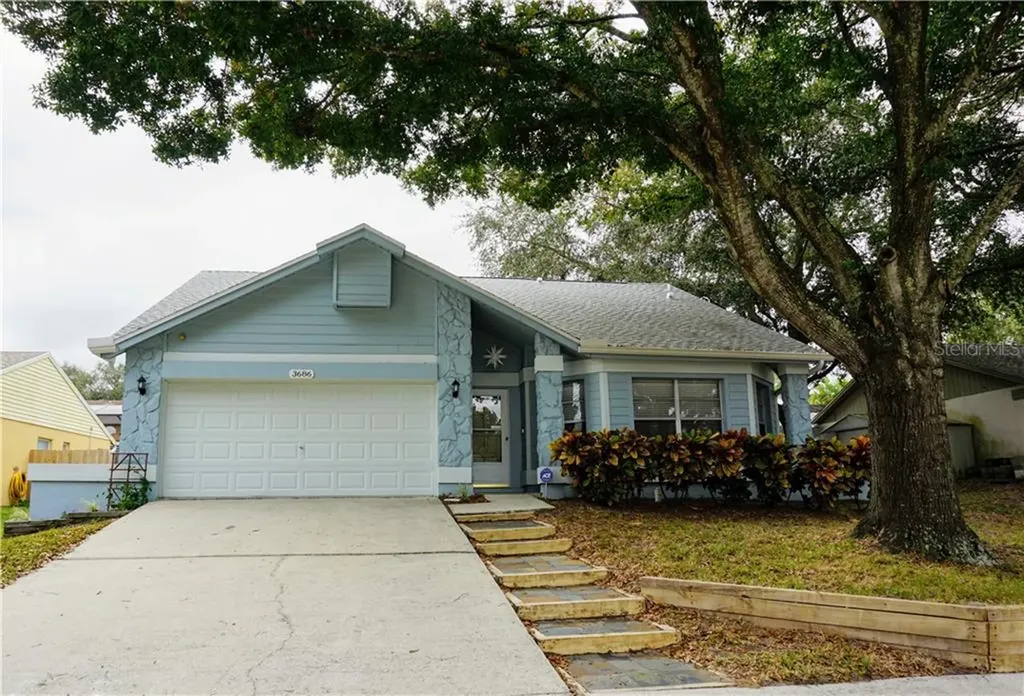3686 Dehaven Drive Palm Harbor FL 34684
