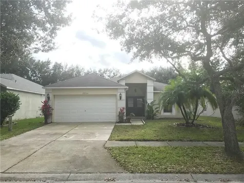 19204 Wood Sage Drive Tampa FL 33647