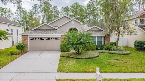 9037 Quail Creek Drive Tampa FL 33647