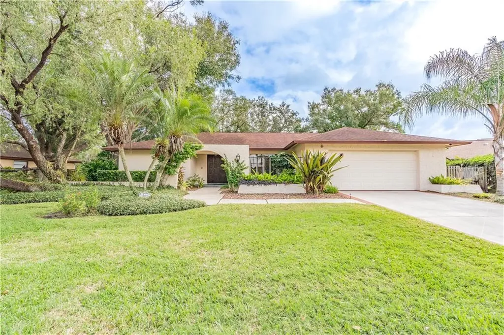 13905 Lake Bluff Court Tampa FL 33624