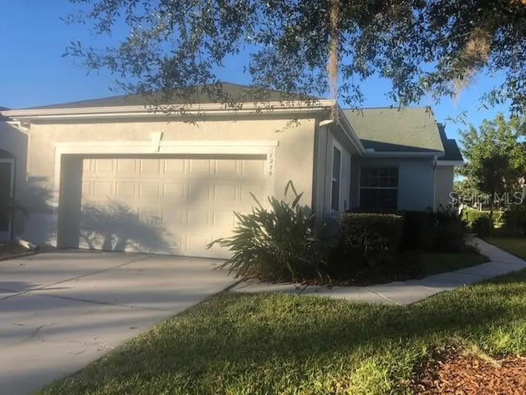 7236 Cleopatra Drive Land O Lakes FL 34637