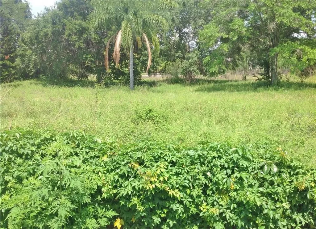 2300 S Fern Creek Avenue Orlando FL 32806