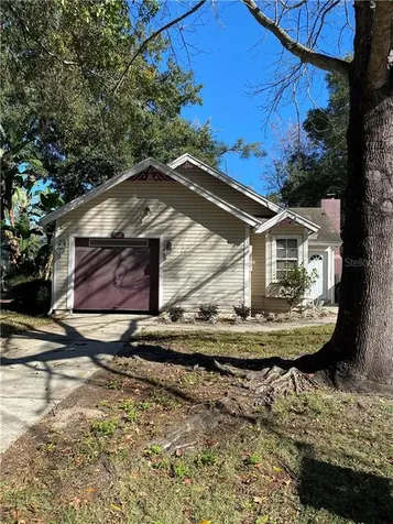 1823 Snapdragon Court Apopka FL 32703