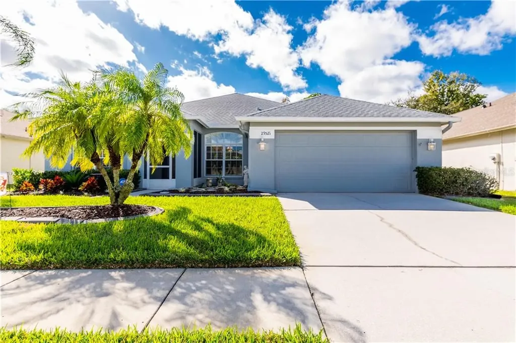 29521 Allegro Drive Wesley Chapel FL 33543