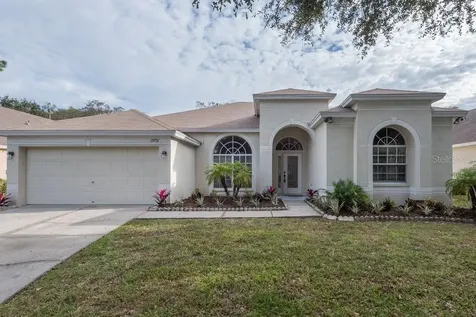13731 Antler Point Drive Tampa FL 33626