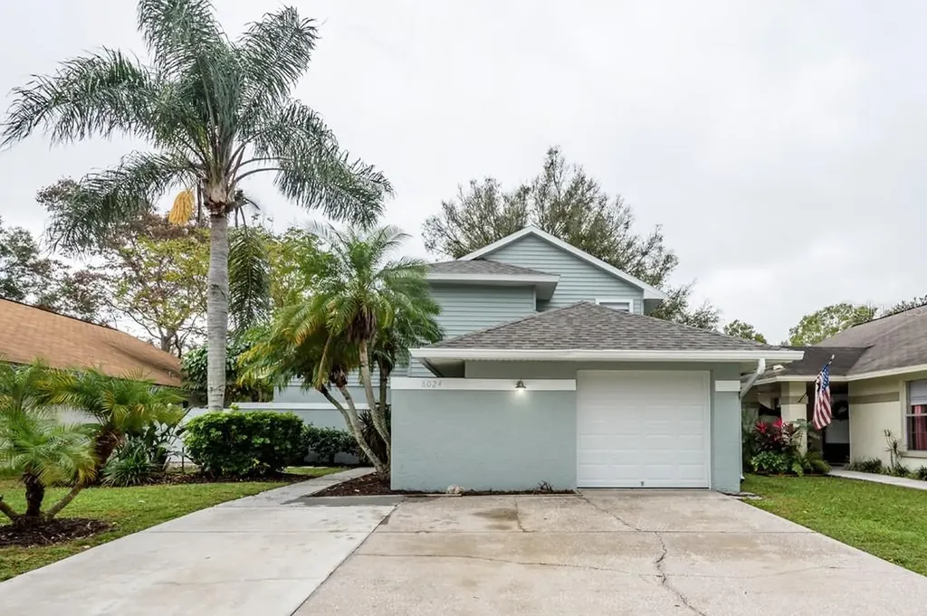 6024 Lemon Tree Court Tampa FL 33625