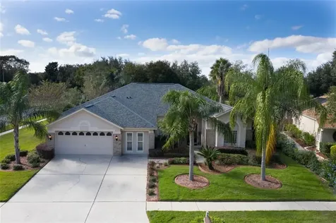 3915 Saddle Ridge Street Valrico FL 33596