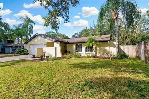 15644 Bear Creek Drive Tampa FL 33624