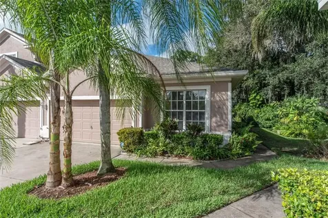 1341 Big Pine Drive Valrico FL 33596