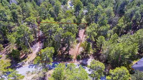 90 Bells Of Ireland Court Homosassa FL 34446
