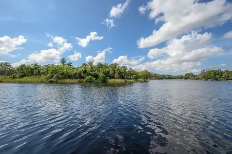 336 W Rio Vista Court Tampa FL 33604
