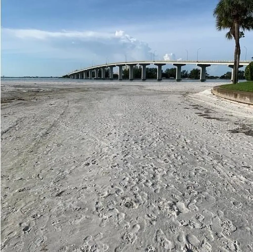 800 S Gulfview Boulevard Clearwater Beach FL 33767