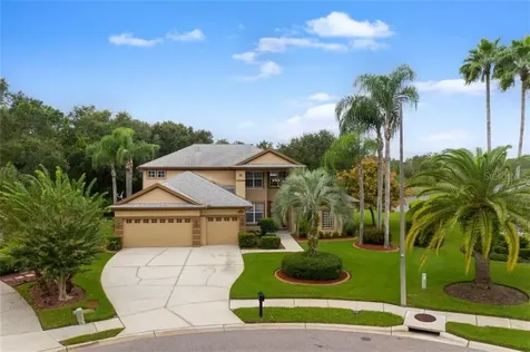 6119 Chene Court Lutz FL 33558