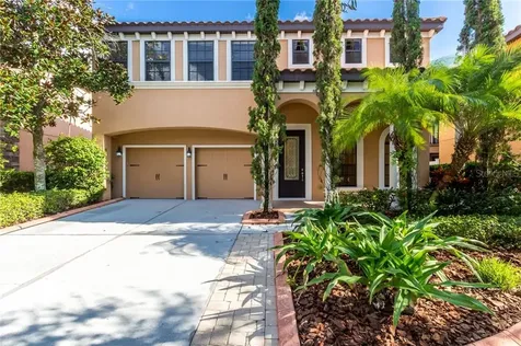 20327 Chestnut Grove Drive Tampa FL 33647