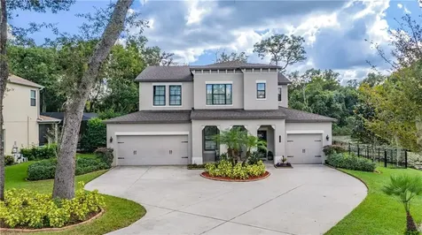 1925 Haven Bend Tampa FL 33613