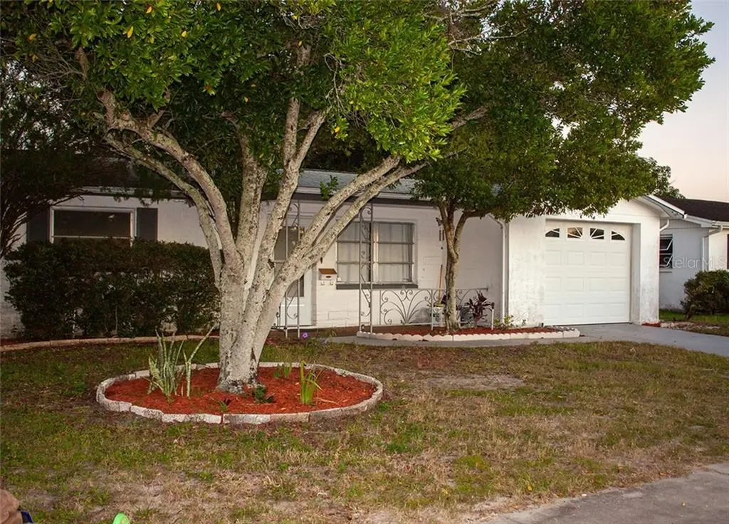 1300 Viking Drive Holiday FL 34691