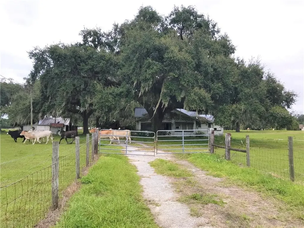 1401 State Road 44 Leesburg FL 34748