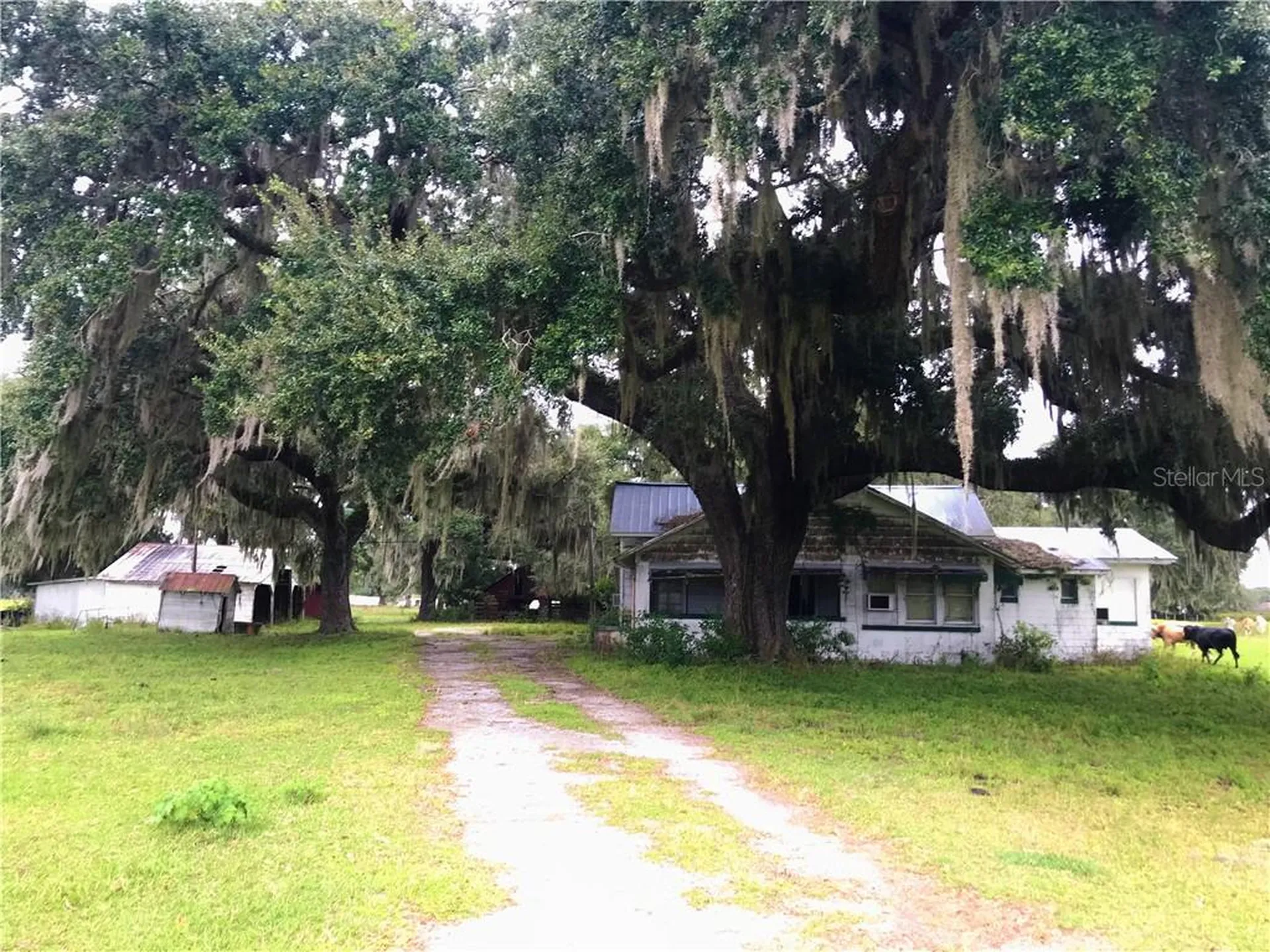 1401 State Road 44 Leesburg FL 34748
