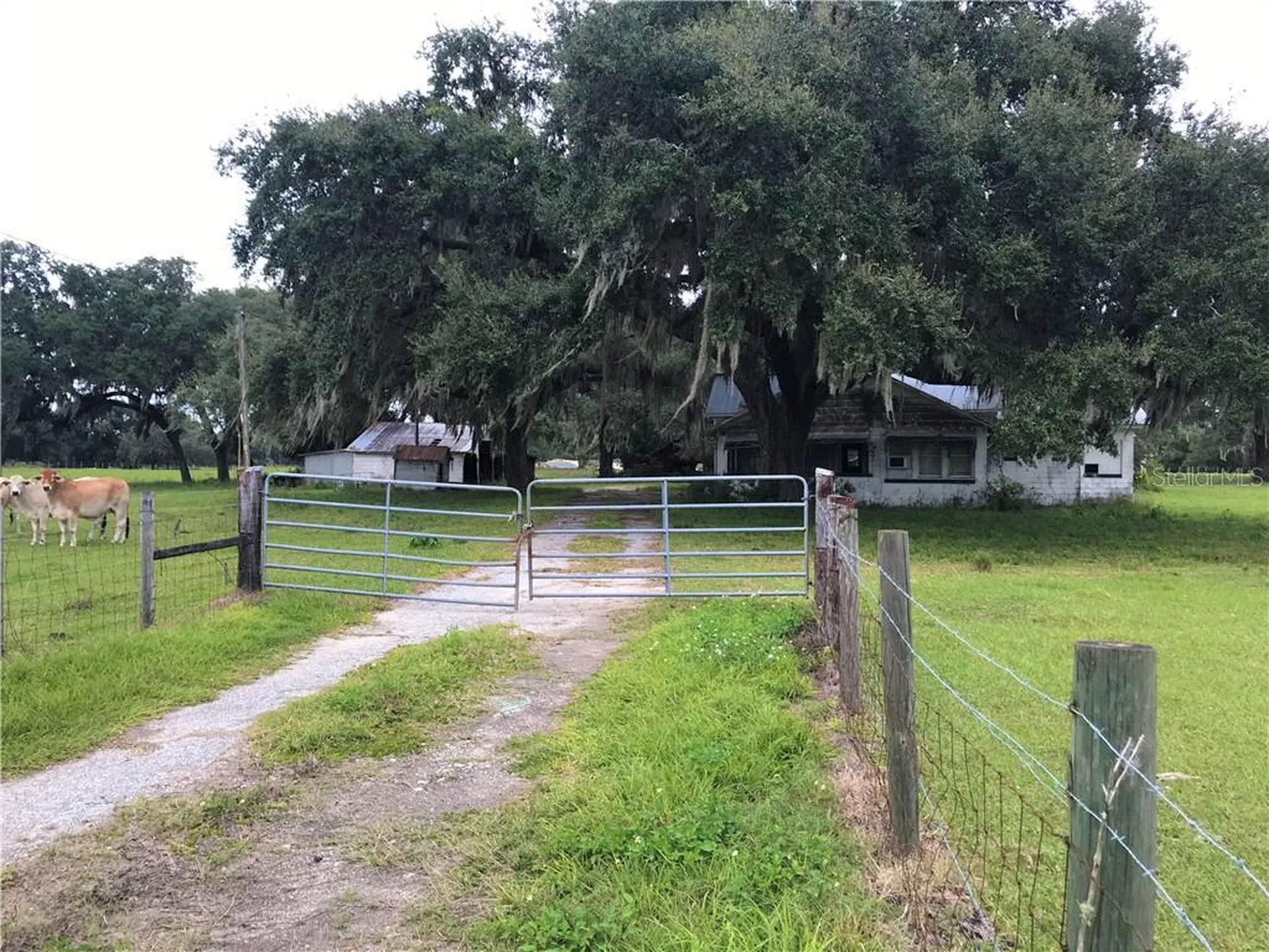 1401 State Road 44 Leesburg FL 34748
