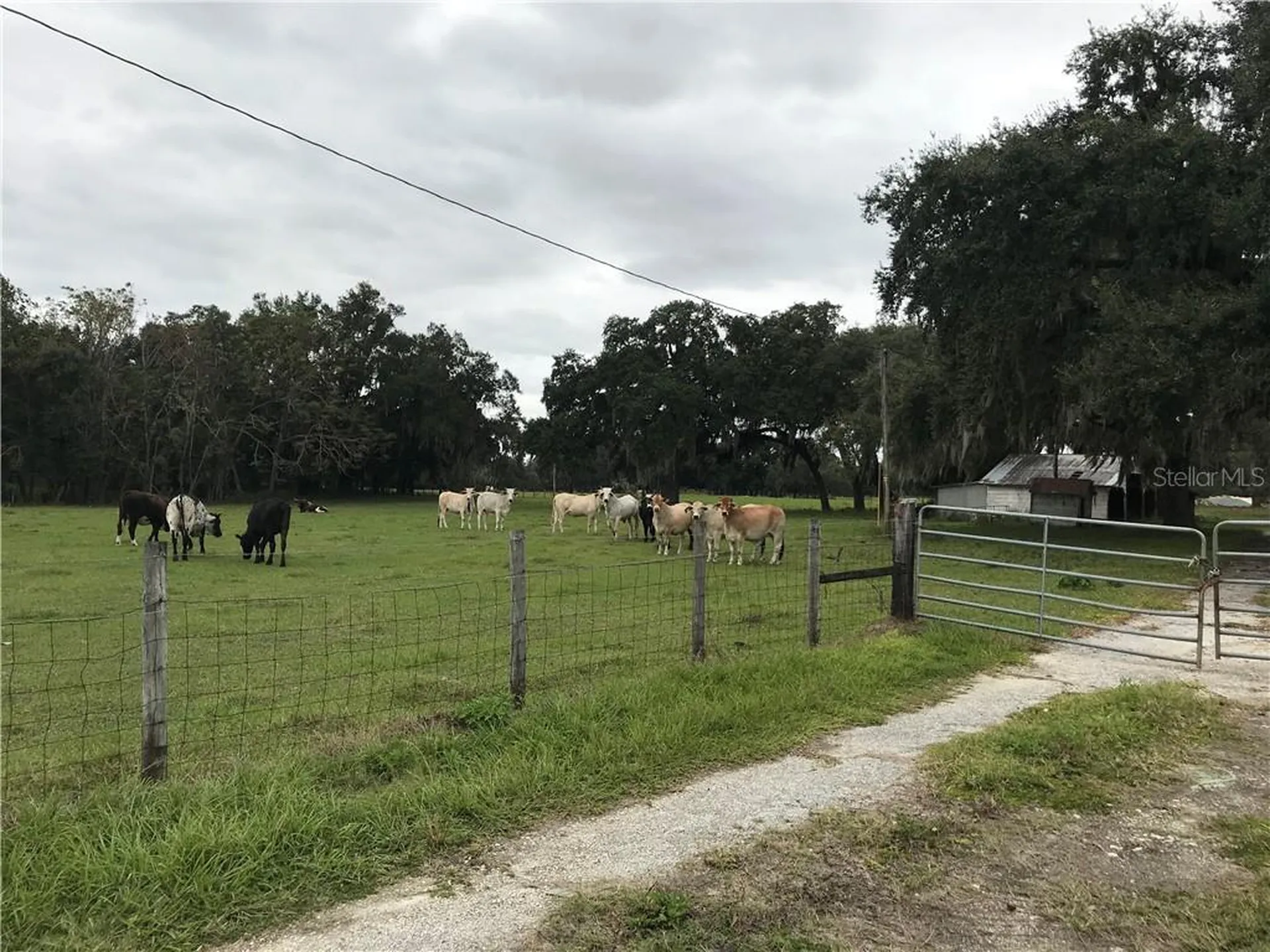 1401 State Road 44 Leesburg FL 34748