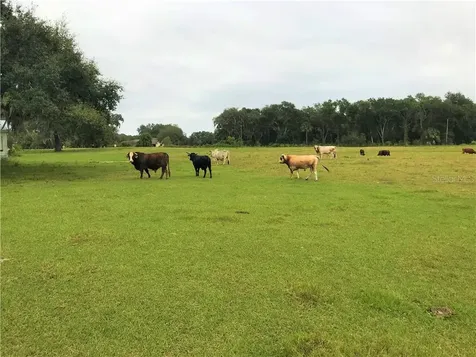 1401 State Road 44 Leesburg FL 34748