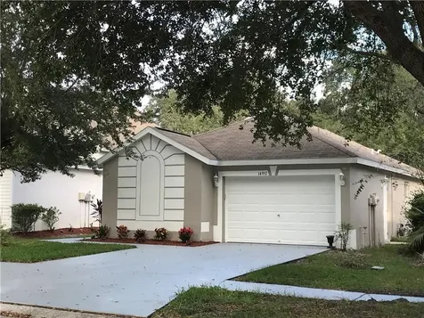 14957 Deer Meadow Drive Lutz FL 33559