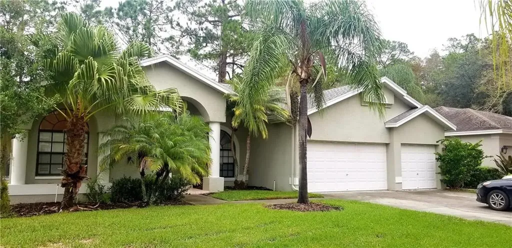4389 Worthington Circle Palm Harbor FL 34685