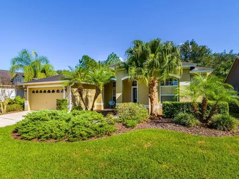 10146 Whisper Pointe Drive Tampa FL 33647