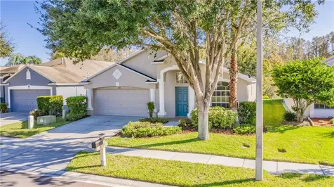 4116 Marchmont Boulevard Land O Lakes FL 34638