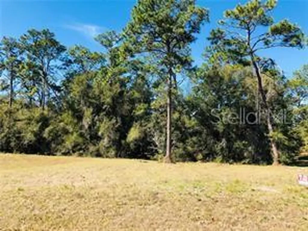 1610 Timber Pines Court Deland FL 32724