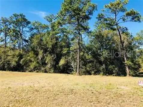 1610 Timber Pines Court Deland FL 32724