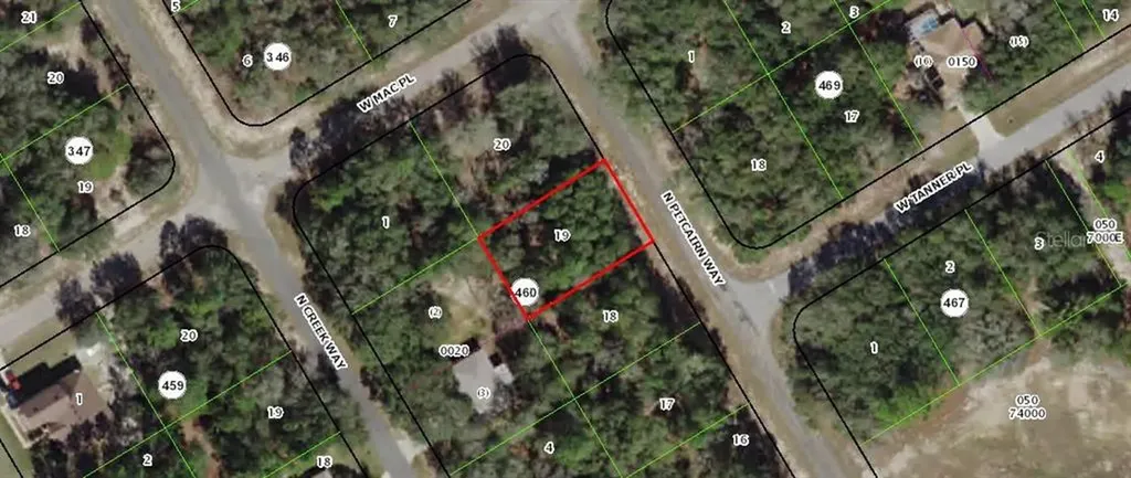 8528 N Pitcairn Way Citrus Springs FL 34434