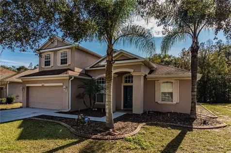 10618 Deerberry Drive Land O Lakes FL 34638
