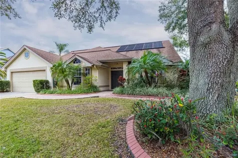 6601 Timber Brook Court Tampa FL 33625