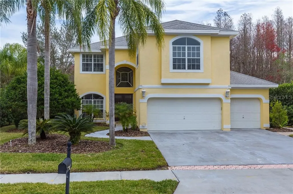 4166 La Salle Drive Palm Harbor FL 34685