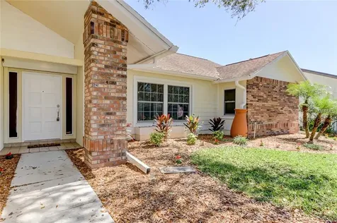 3237 Glenridge Court Palm Harbor FL 34685