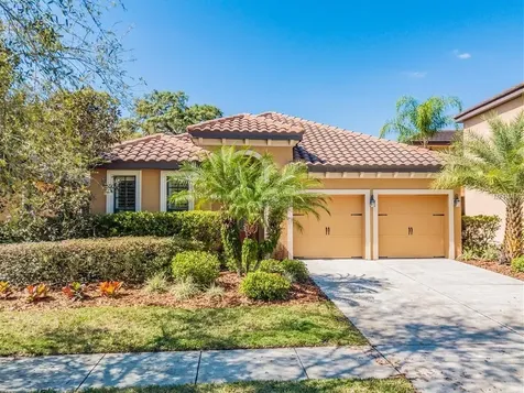 20342 Chestnut Grove Drive Tampa FL 33647